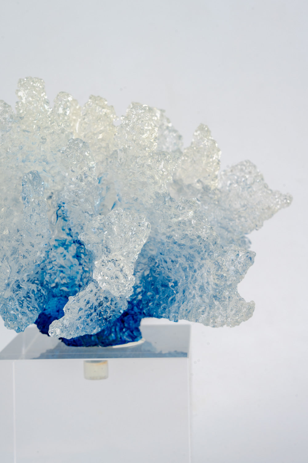 Azure Reef Crystal Sculpture Big