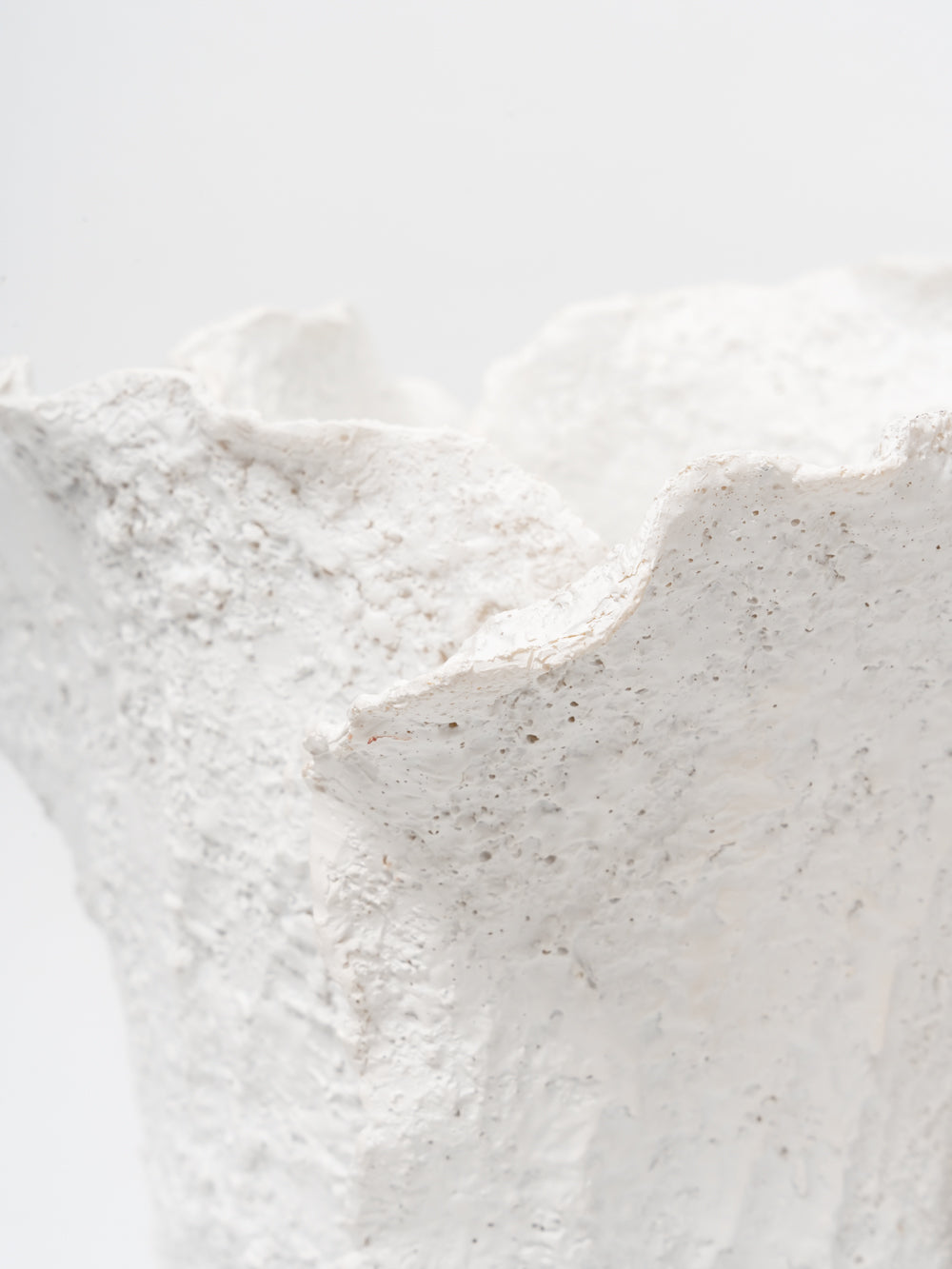 Frosted Coral Sculptural Vase