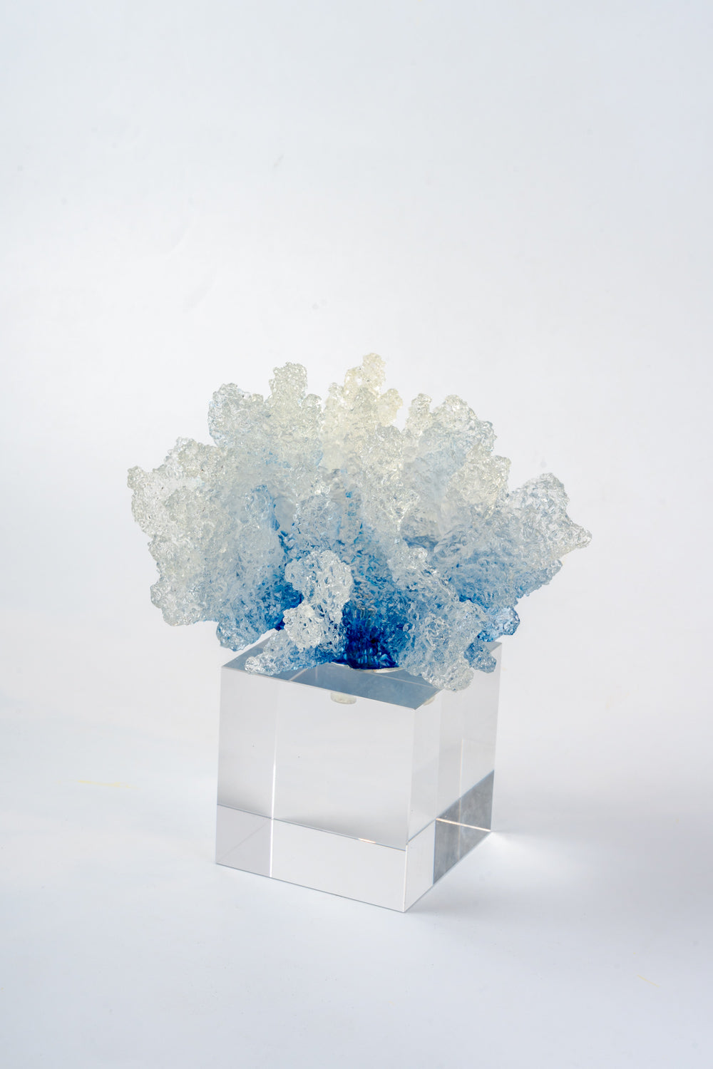 Azure Reef Crystal Sculpture Big